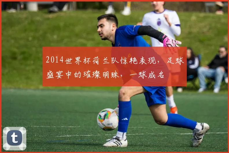 2014世界杯荷兰队惊艳表现，足球盛宴中的璀璨明珠，一球成名