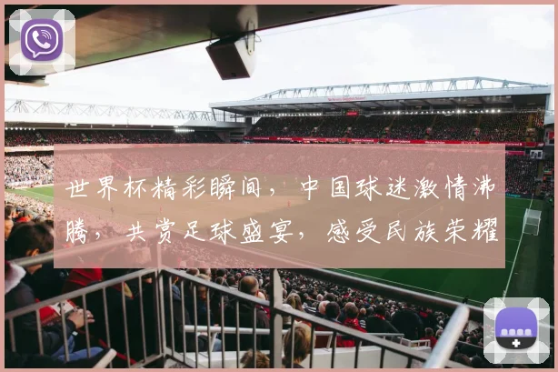 世界杯精彩瞬间，中国球迷激情沸腾，共赏足球盛宴，感受民族荣耀之情