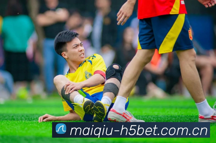 平台使命图